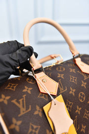 LOUIS VUITTON - Speedy30